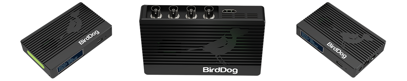BirdDog image