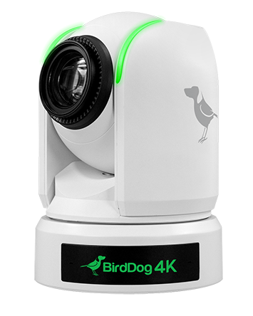 BirdDog Image