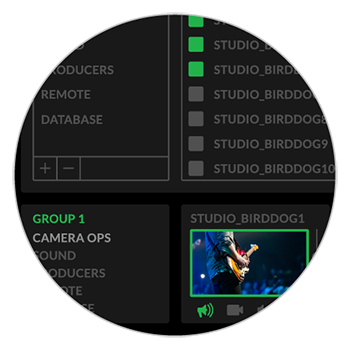 BirdDog image