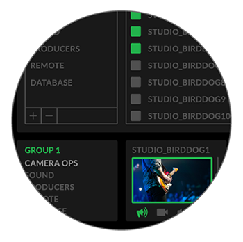 BirdDog image