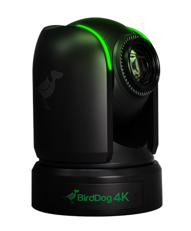 BirdDog image