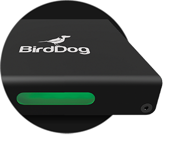 BirdDog image