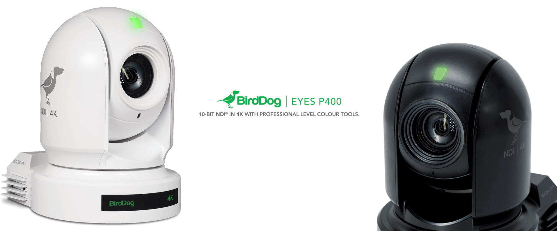 BirdDog image